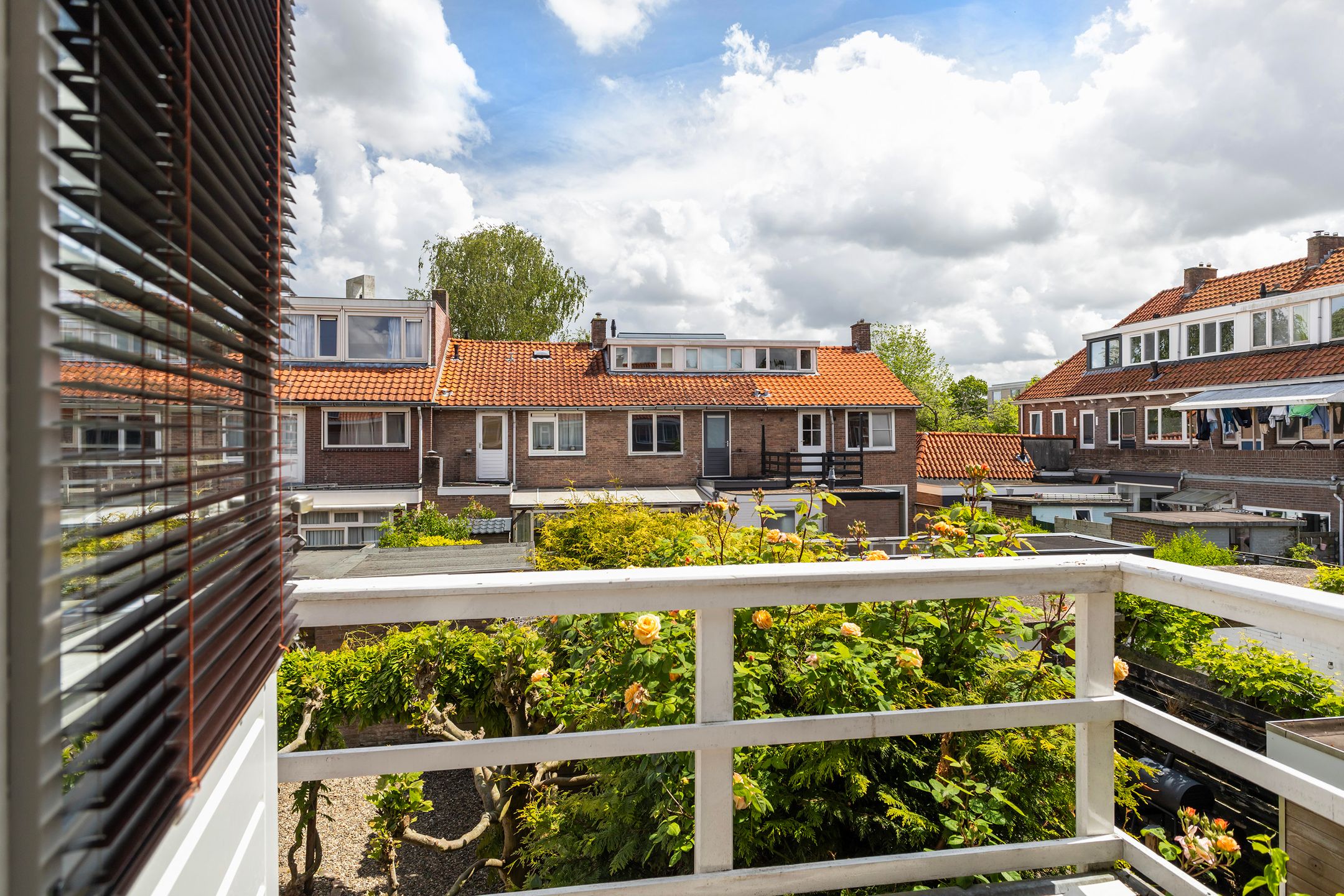 Foto 36 van Frederik Ruyschstraat 20