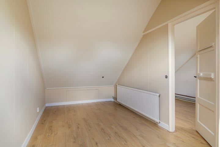 Foto 42 van Frederik Ruyschstraat 20