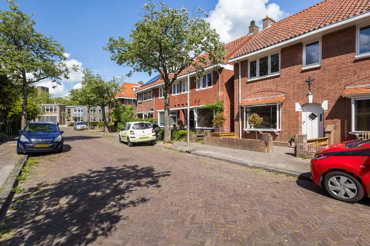 Foto 45 van Frederik Ruyschstraat 20