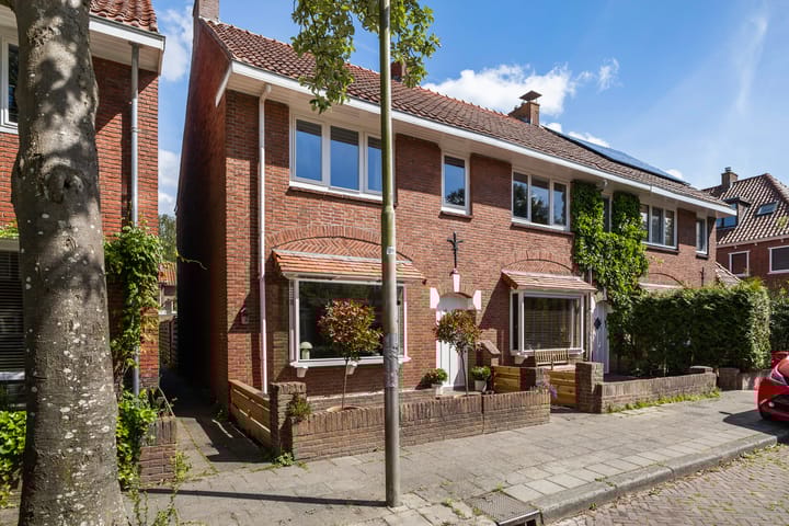 Foto 47 van Frederik Ruyschstraat 20