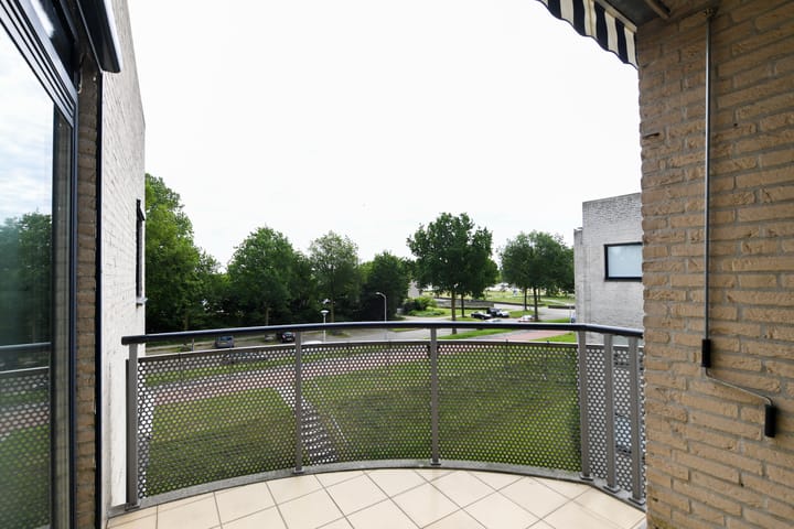 Foto 8 van Sterrekruid 49