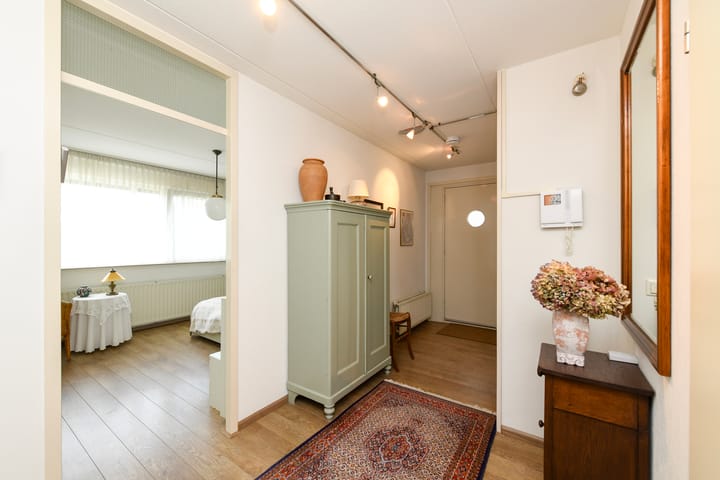 Foto 17 van Sterrekruid 49