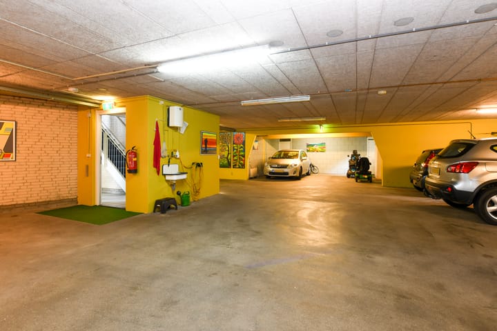 Foto 25 van Sterrekruid 49