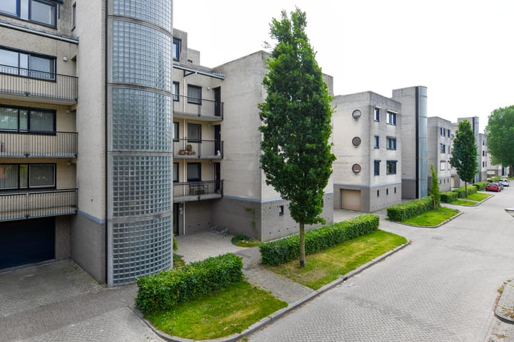 Foto 26 van Sterrekruid 49