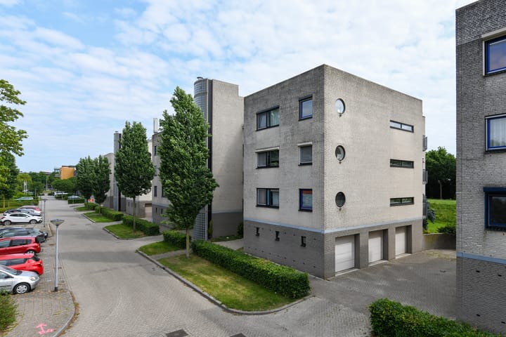 Foto 27 van Sterrekruid 49