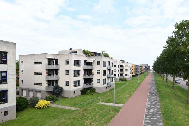 Foto 28 van Sterrekruid 49