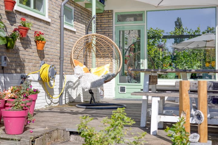 Foto 41 van IJsbaanstraat 8