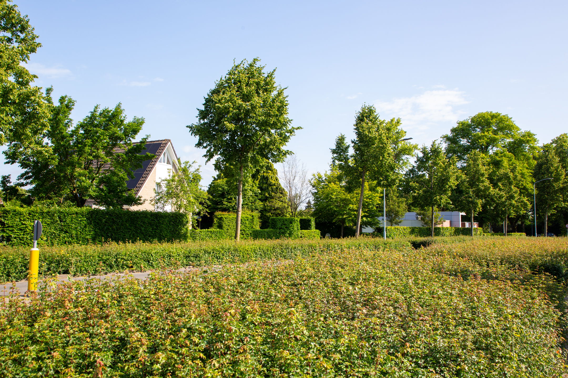 Foto 72 van Lichtenvoordseweg 60