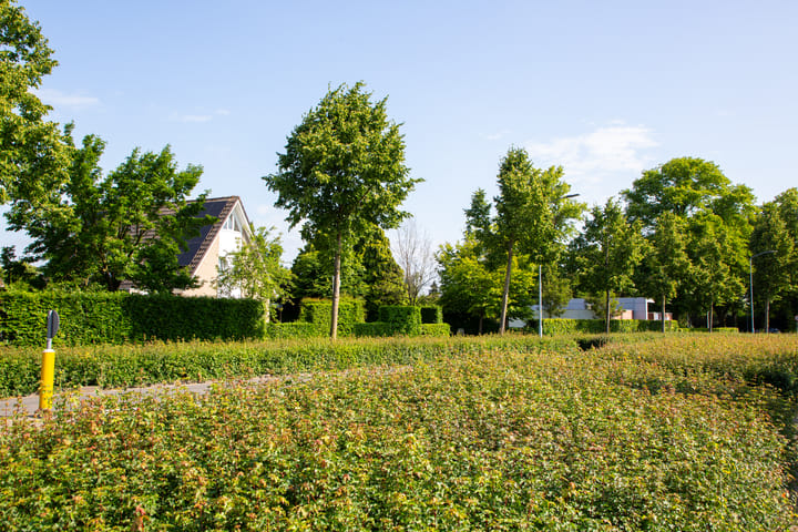 Foto 72 van Lichtenvoordseweg 60