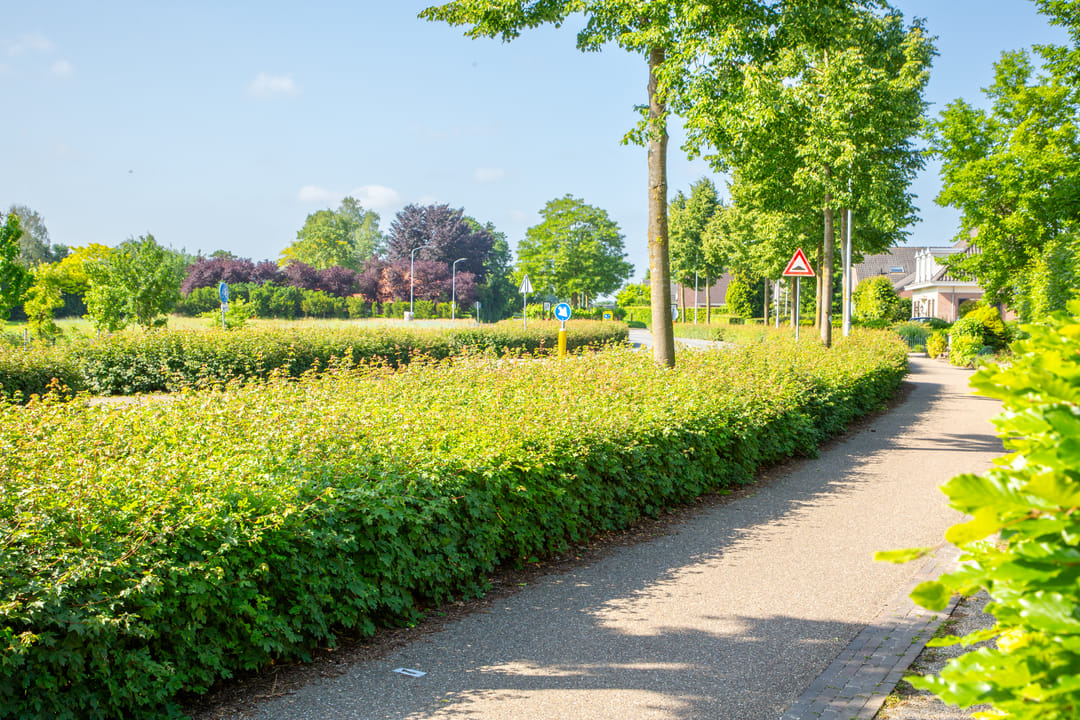 Foto 73 van Lichtenvoordseweg 60