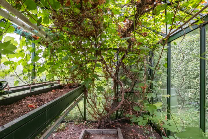 Foto 21 van Voorstraat 47