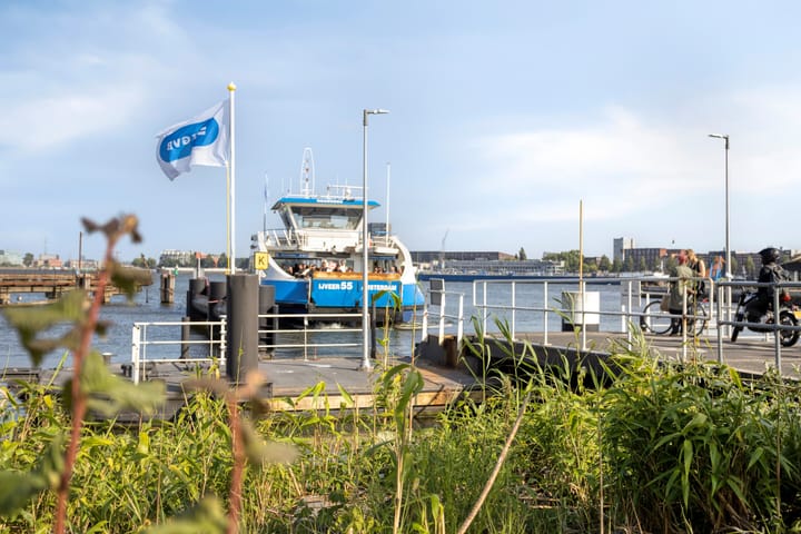 Foto 33 van Zesde Vogelstraat 5