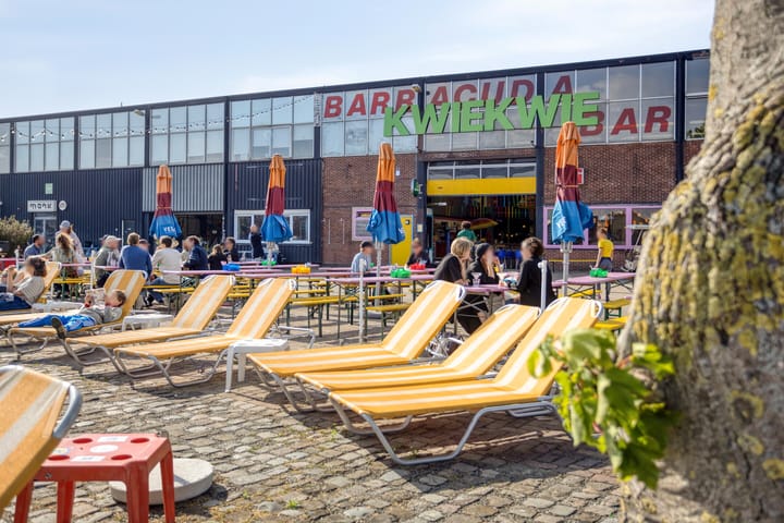 Foto 35 van Zesde Vogelstraat 5