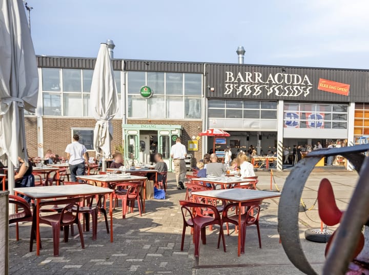 Foto 36 van Zesde Vogelstraat 5