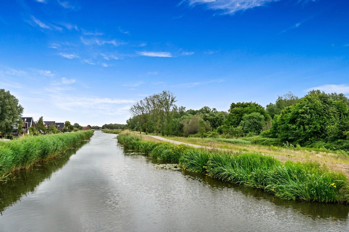 Foto 80 van Waterweegbree 36