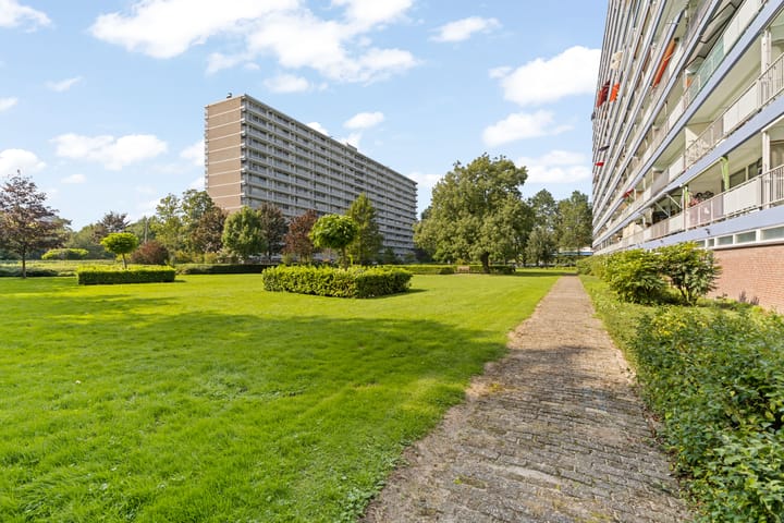 Foto 32 van Frederik van Eedenplaats 3