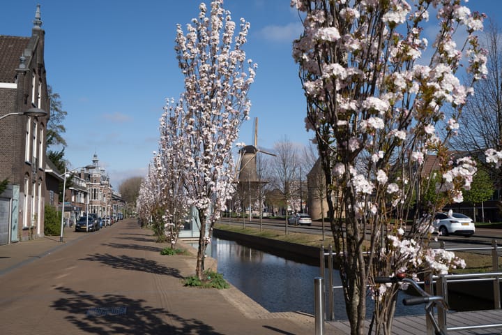 Photo 83 of Spoorsingel 46