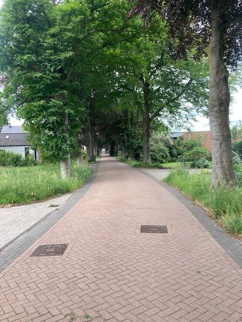 Foto 6 van Duistereweg
