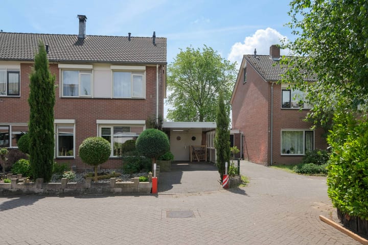 undefined main image