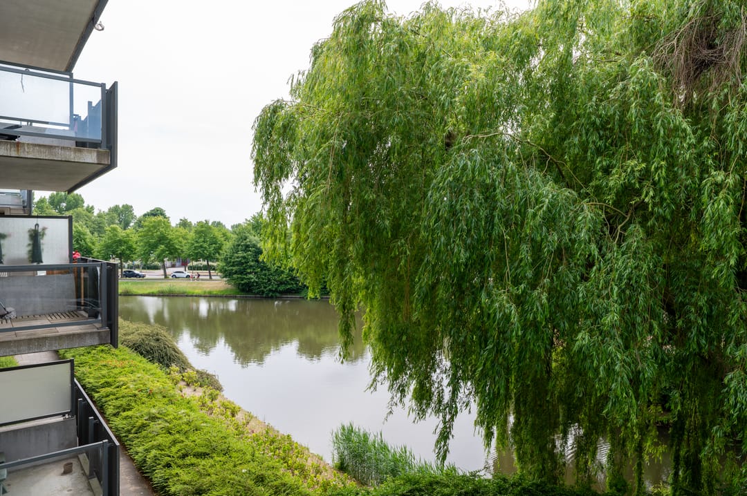 Foto 31 van Zeelandiahoeve 227