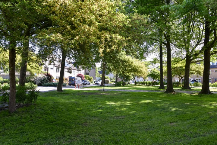 Foto 28 van Houtzaagmolen 75