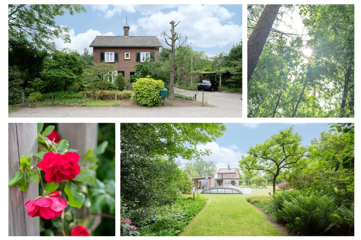 Foto 2 van Haspelstraat 2