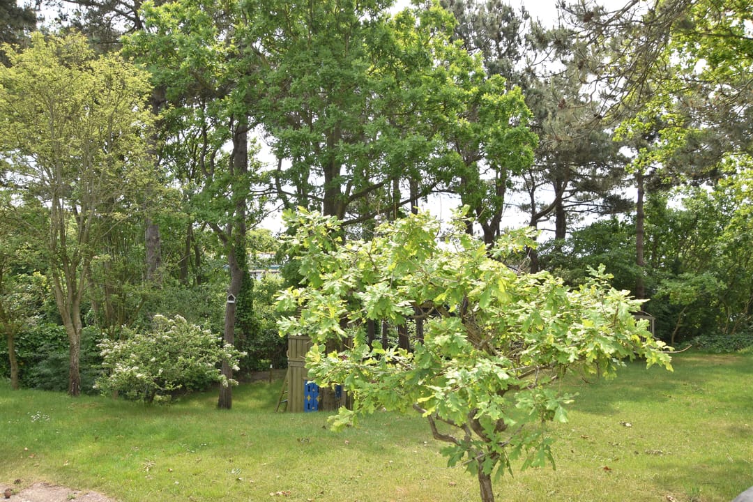 Photo 58 of Dr Wiardi Beckmanlaan 81