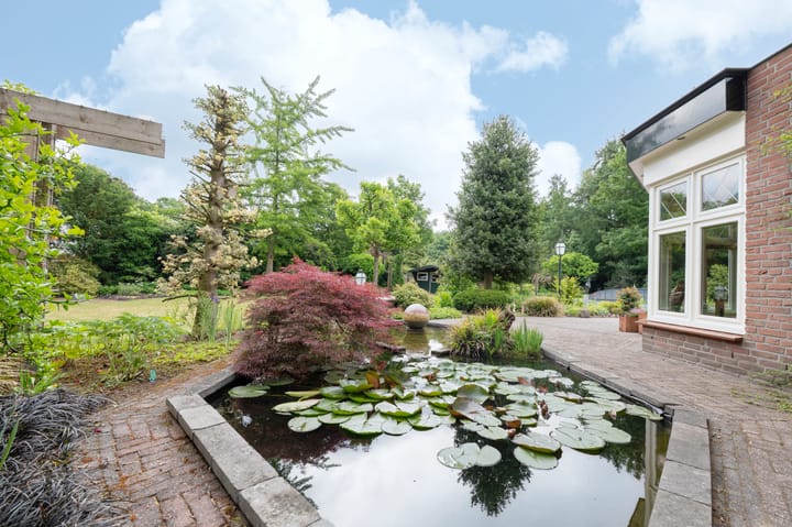 Foto 42 van Haspelstraat 2