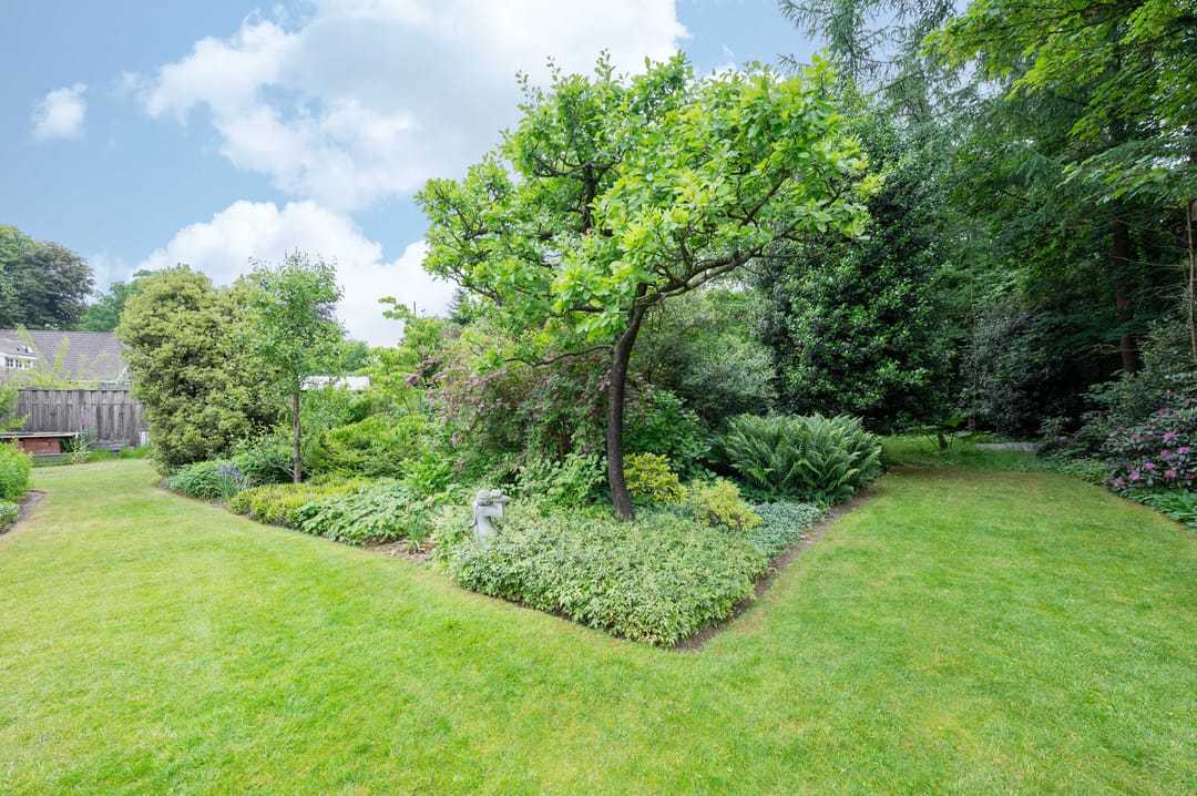 Foto 46 van Haspelstraat 2