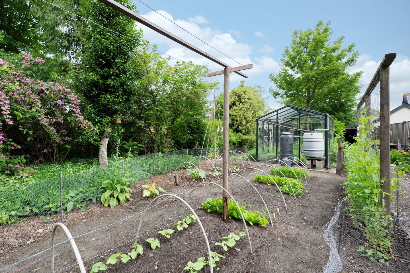 Foto 49 van Haspelstraat 2