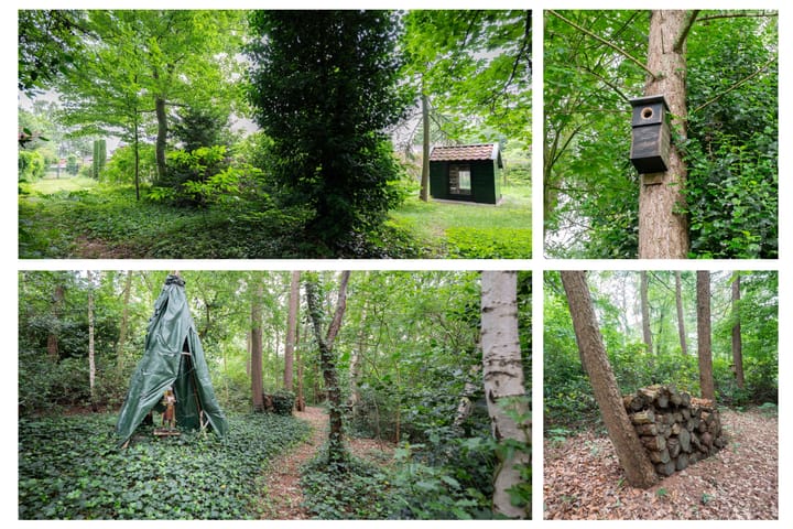 Foto 50 van Haspelstraat 2