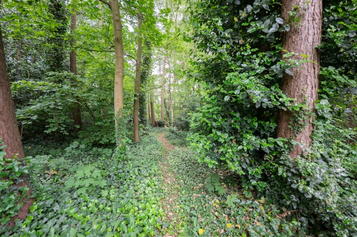 Foto 52 van Haspelstraat 2