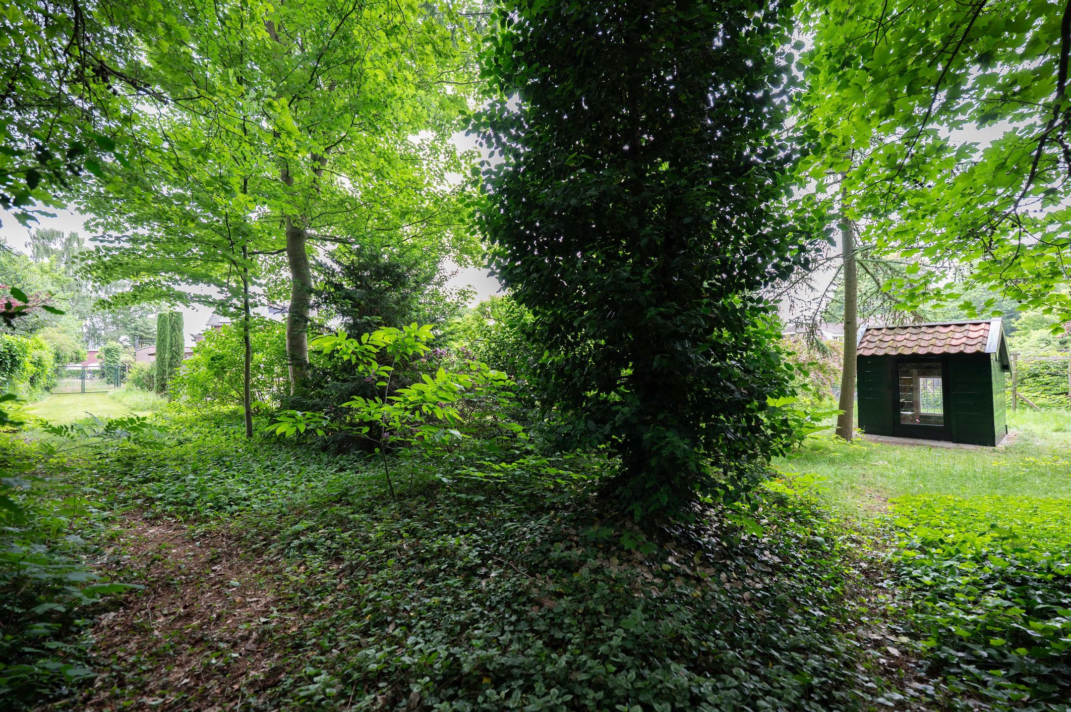 Foto 54 van Haspelstraat 2