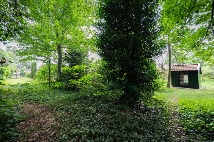 Foto 54 van Haspelstraat 2