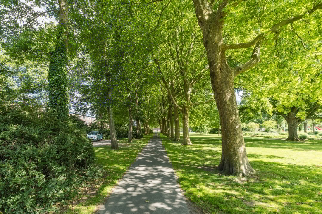 Foto 26 van IJtochtkade 36-A