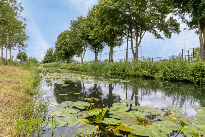 Foto 39 van Laantje van Erik 3