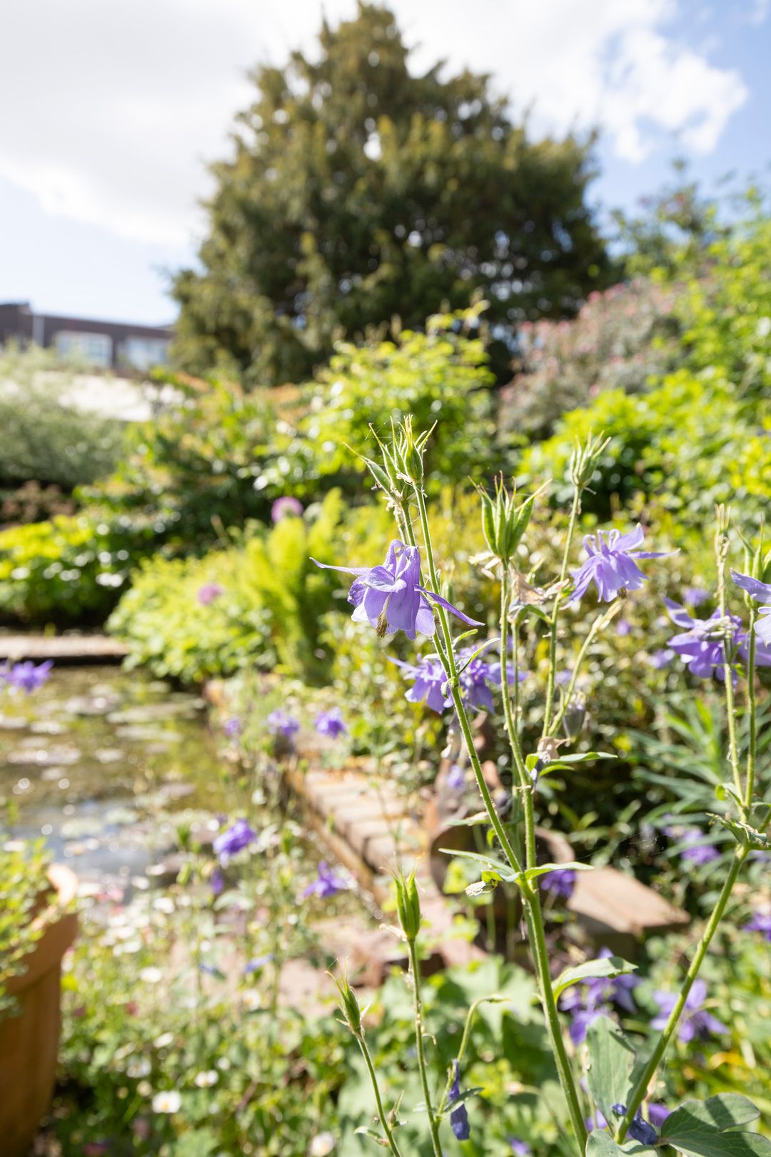 Foto 28 van Ophelialaan 66