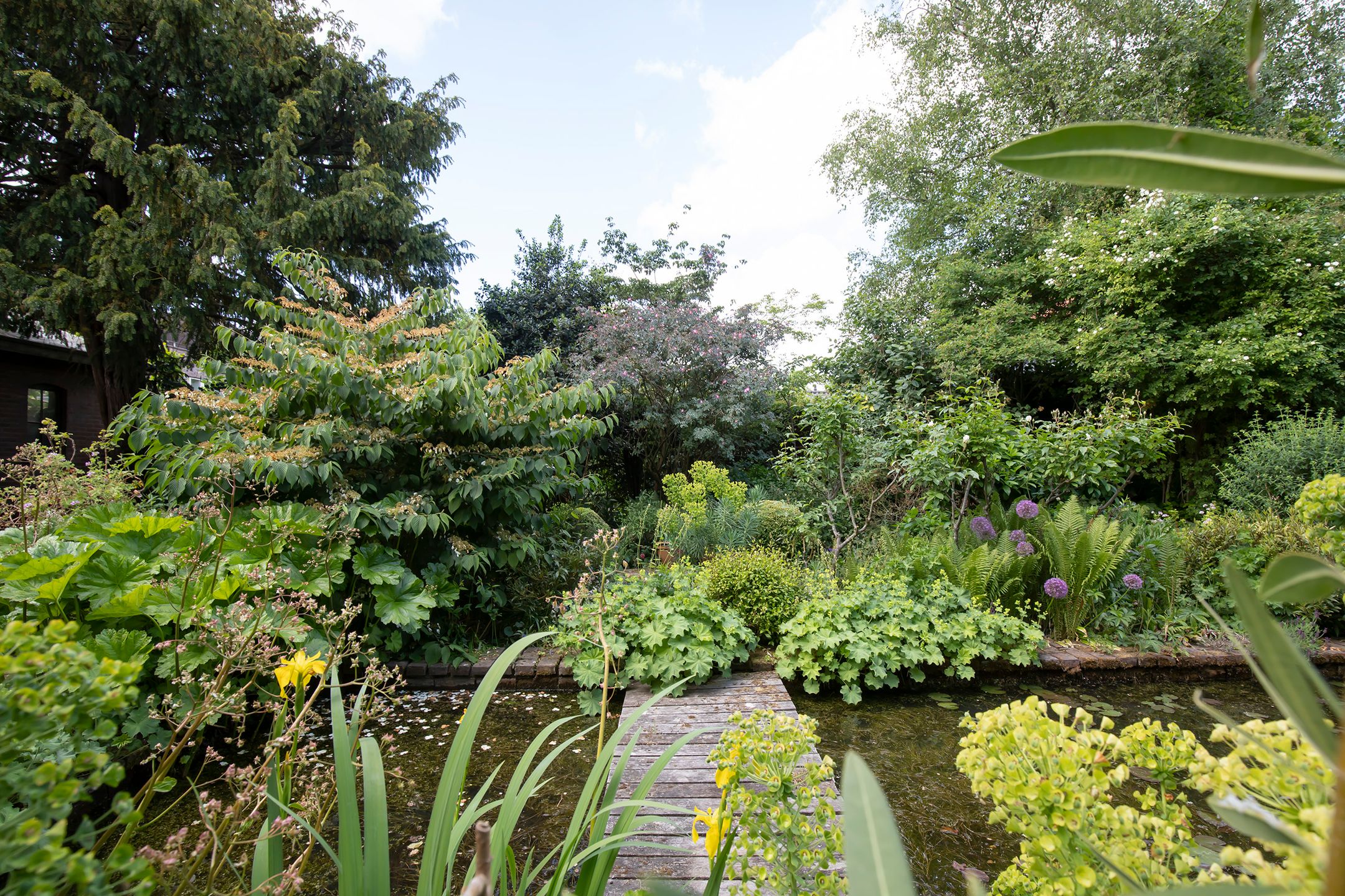 Foto 30 van Ophelialaan 66