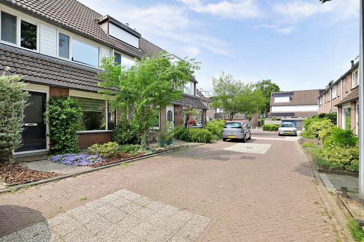 Foto 4 van Vioolerf 14