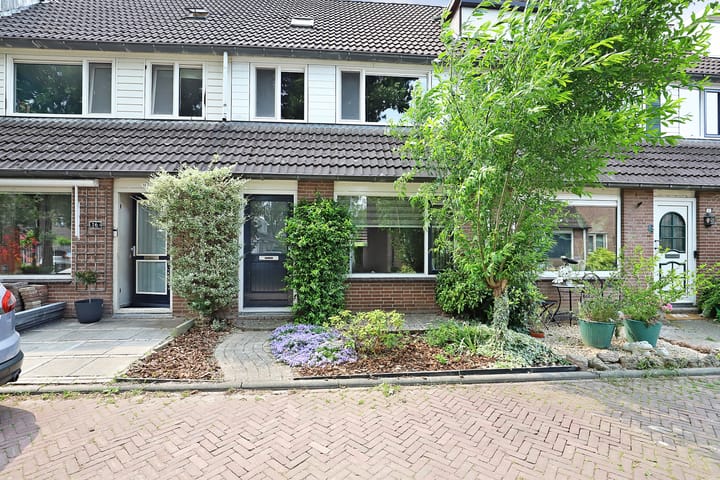 Foto 6 van Vioolerf 14