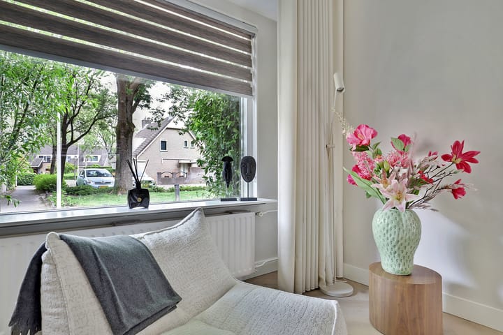 Foto 11 van Vioolerf 14