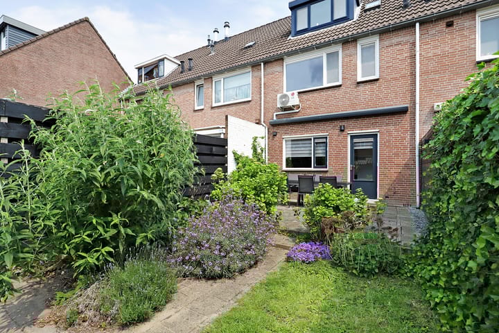 Foto 31 van Vioolerf 14