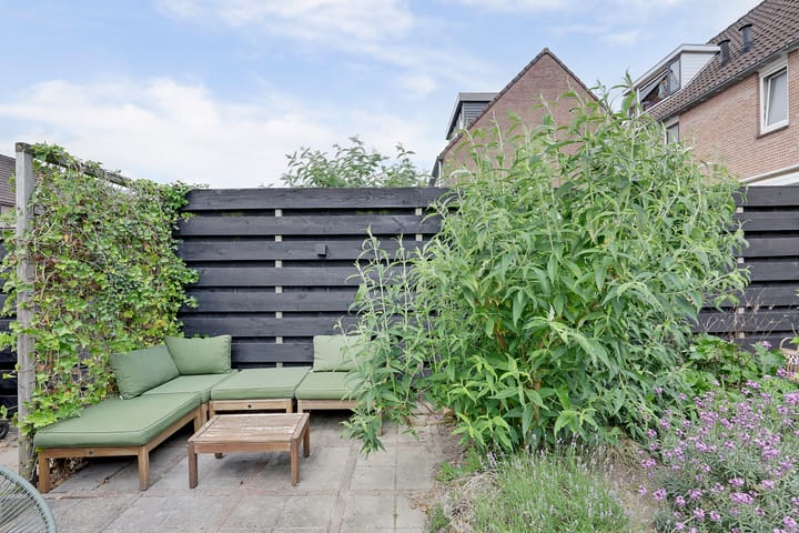 Foto 32 van Vioolerf 14