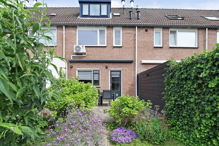 Foto 33 van Vioolerf 14