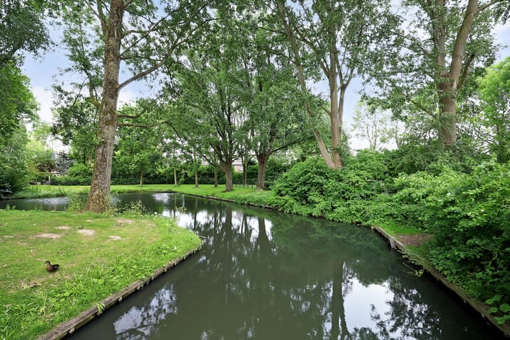 Foto 34 van Vioolerf 14