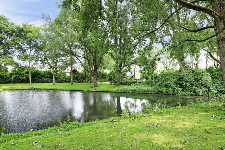 Foto 35 van Vioolerf 14