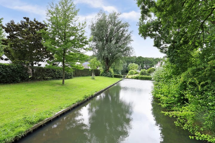 Foto 36 van Vioolerf 14