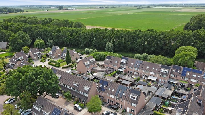 Foto 38 van Vioolerf 14