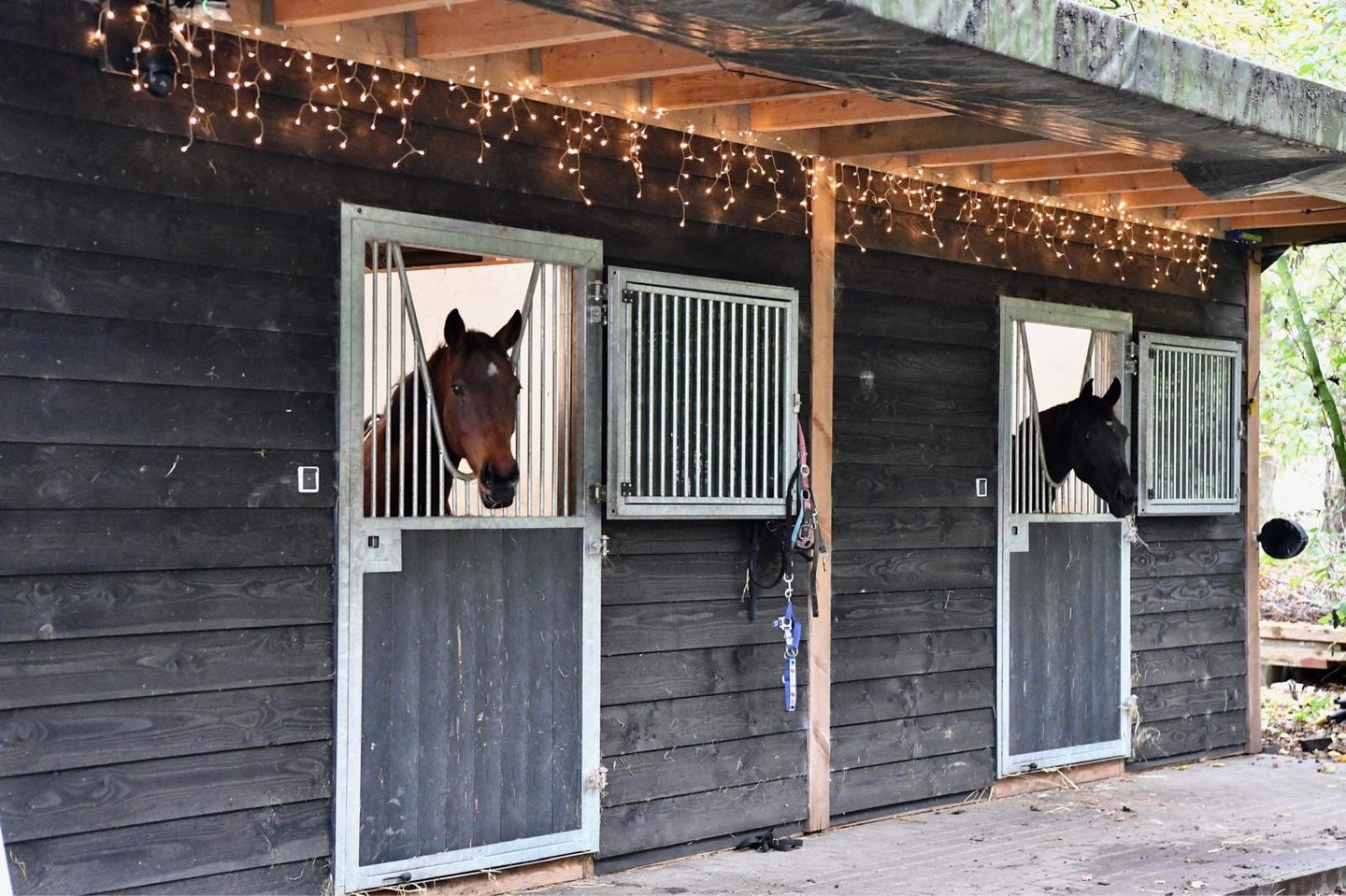 Foto 5 van Hulsterseweg 33