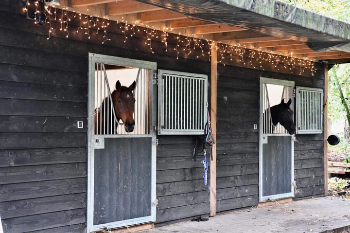 Foto 5 van Hulsterseweg 33